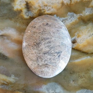 Agatized Petrified Wood Finished Oval Cabochon - 38x29mmm