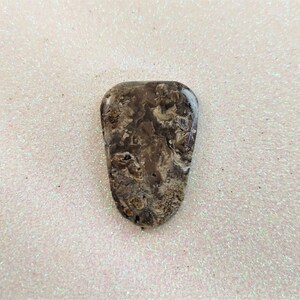 Petrified Wood Finished &#39;Shield&#39; Cabochon- 33mm x 23mm