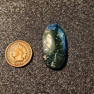 Hampton Butte Petrified Wood Finished Oval Cabochon - 33x17mm