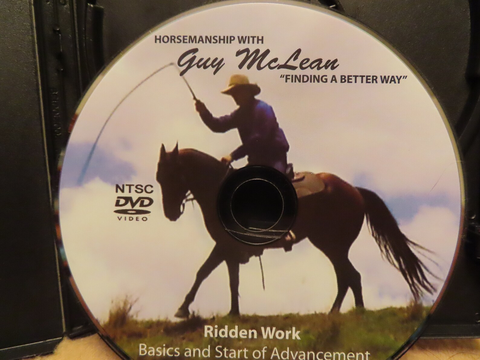 HORSE TRAINING DVDS featuring Guy McLean for Basics and Start Etsy