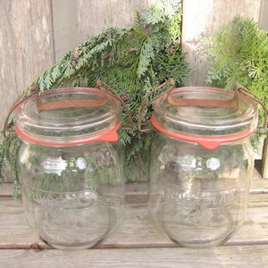 May include: Two clear glass jars with red rubber seals and rusty metal handles. The jars are vintage-style, with embossed text on the front. Green foliage is behind the jars, and the jars are on a wooden surface.
