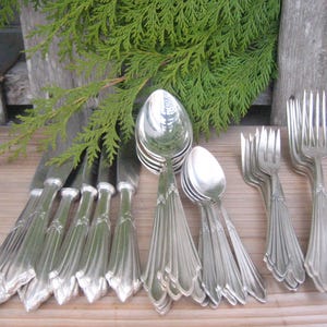 May include: A collection of vintage silverware, including knives, spoons, and forks, arranged on a wooden surface. The silverware has ornate handles and a shiny, reflective surface. Green foliage is in the background, adding a natural element to the composition.