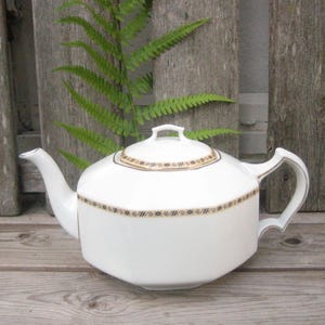 Puede incluir: Tetera de porcelana blanca con una banda decorativa dorada y marrón alrededor del cuerpo y la tapa. La tetera tiene un asa y un pico curvos. El fondo presenta tablas de madera desgastadas y helecho verde.