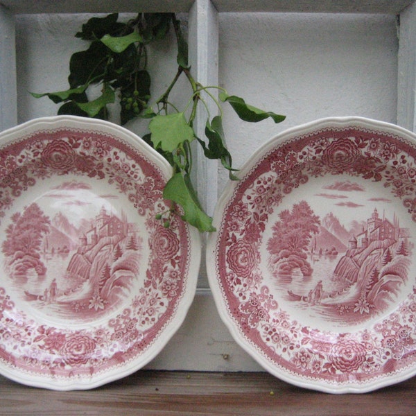 2 tiefe Teller Villeroy & Boch Burgenland rot