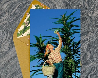 Harvest Time Greeting Card - Party Invitation, Pot Plant, Weed, Cannabis Leaves, Adult Cards