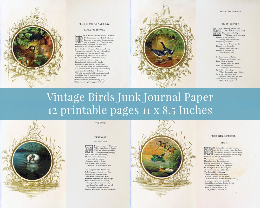 Vintage Bird Junk Journal Digital Kit Printable, Book Pages Digital ...