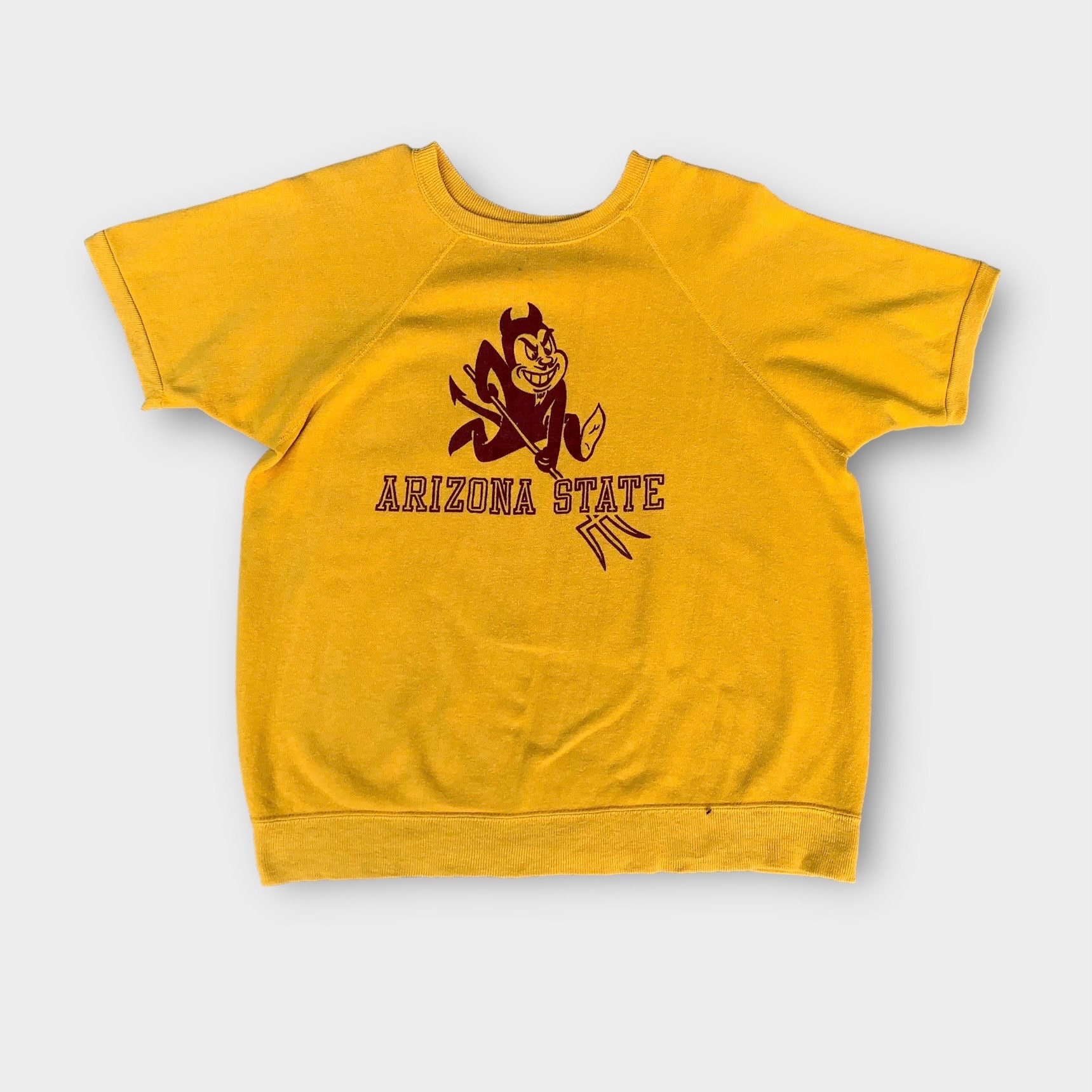 希少！ヴィンテージ 1960年代 Artex ASU アリゾナ州立大学 クルー 
