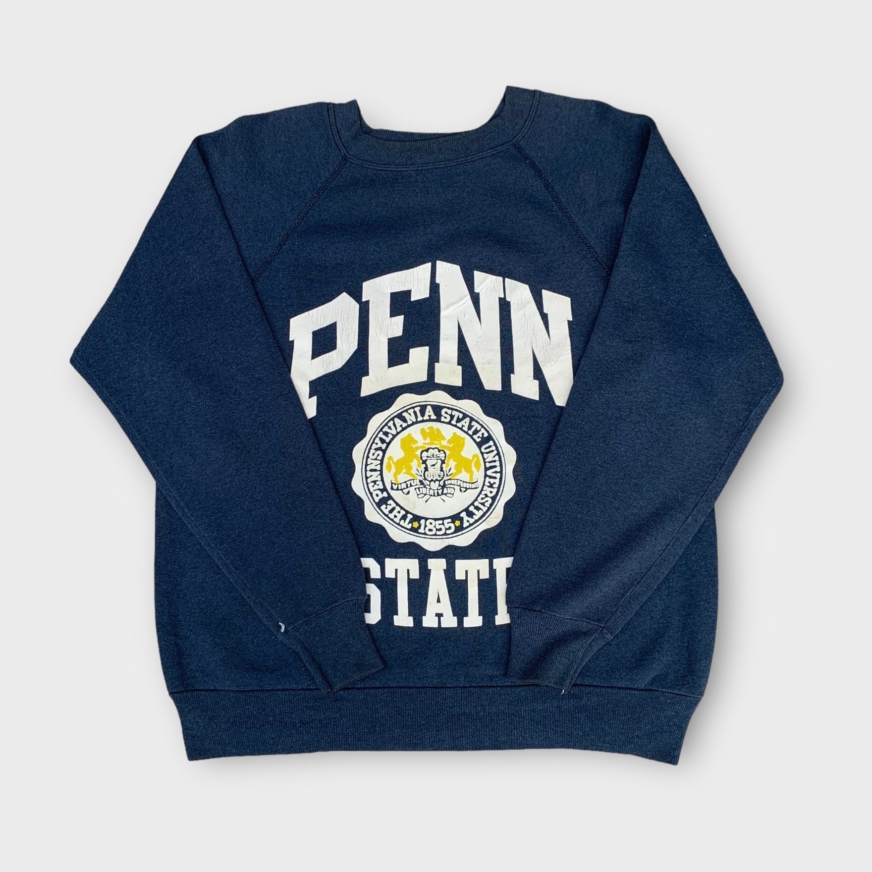 古着 80s USA製 Champion Reverse Weave 「PENN STATE」 2段