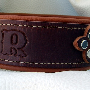 Collare per cani in pelle bicolore ca. 3,8 cm di larghezza personalizzabile con nome regolabile
