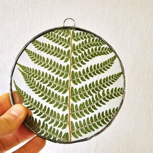 Herbarium fern glass frame, Pressed Fern frame, Green fern in round glass frame, herbarium, real plant, Nature lover present,from Slovenia image 10