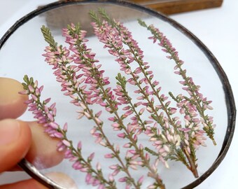 Pressed Heather, Pressed Erica flower,  Heather in frame, Pink flower frame, round Heather frame, from Slovenia, Calluna Vulgaris