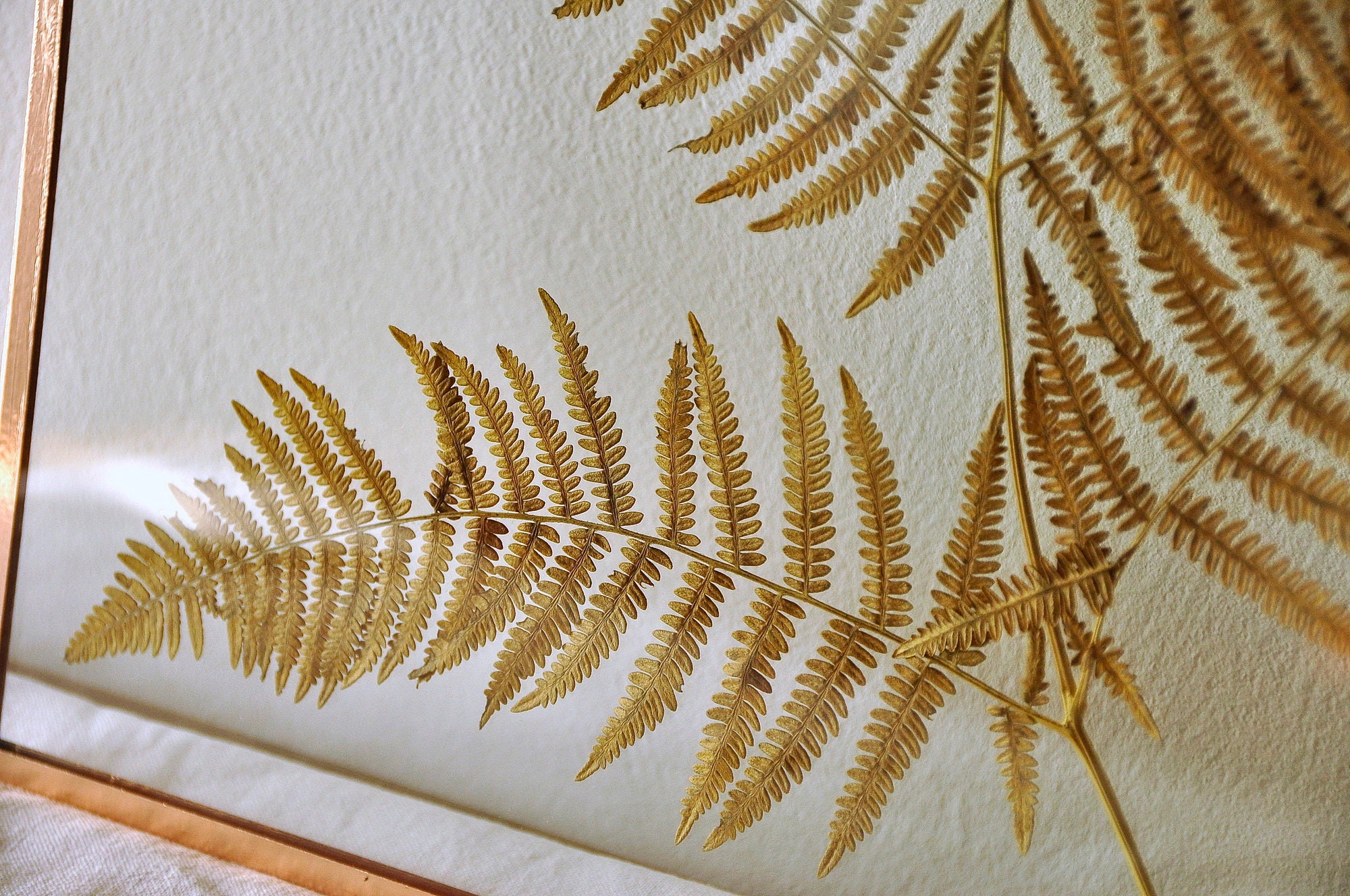 Pressed Autumn Brown Fern frame Scandinavian decor Fern frame | Etsy