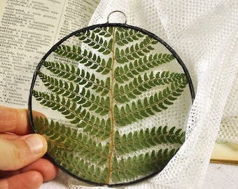 Herbarium fern glass frame, Pressed Fern frame, Green fern in round glass frame, herbarium, real plant, Nature lover present,from Slovenia