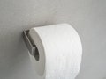 Stainless steel holder TPH for toilet paper rolls