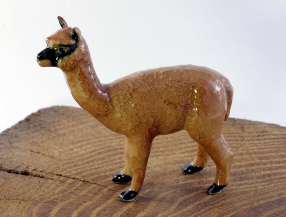Miniatyr Lama Baby Alpakas : R/cute