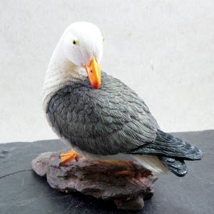 Möwe, Porzellan