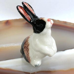 Porzellan hase