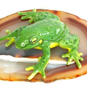 Könnte beinhalten: Eine Keramik-Froschfigur in leuchtendem Grün mit gelben Akzenten, die auf einer polierten, braun-weißen Achatscheibe ruht. Der Frosch hat detaillierte Merkmale, einschließlich gelber Augen und Flecken. Ein dekorativer Artikel.