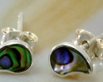 Abalone, Ohrstecker, 925 Sterling Silber