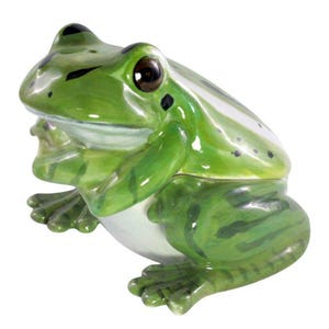 Salz- Und Pfefferstreuer-Set Aus Keramik – Niedliches Tiermotiv (Frosch) | 5,1x6,3x6,7 Cm | Perfektes Küchen-Geschenk