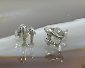 Dolphins, stud earrings, 925 sterling silver