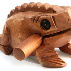 Frosch, der weltberühmte Musikfrosch-4500 Bild 1