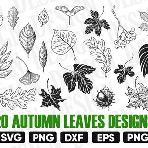 leaves autumn svg, autumn svg, fall leaves svg, thanksgiving svg, leaf svg, leaves svg, fall leaves, leaves cut file, leaves silhouette dxf