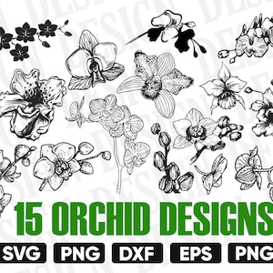 Orchid svg / flower svg / garden svg / gardening svg / floral svg / botanical svg / clipart / silhouette / cut file / iron on cuttable file