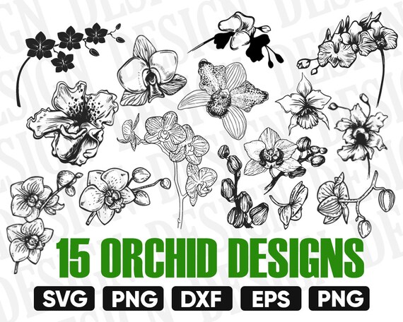 Orchid Svg Flower Svg Garden Svg Gardening Svg Floral Etsy
