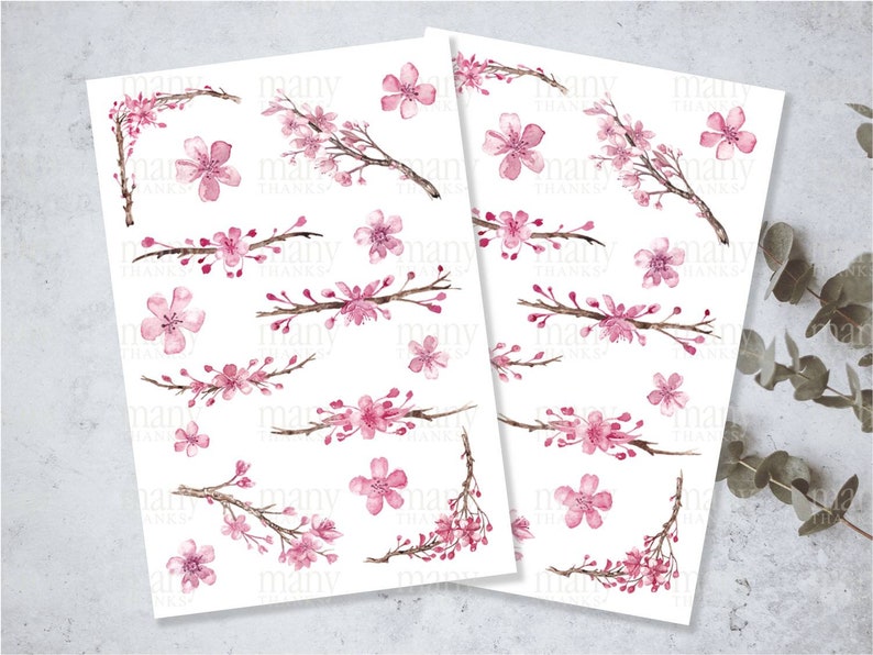 May include: Two sheets of white paper with pink watercolor cherry blossom branch illustrations. The illustrations are of various sizes and are arranged in a grid pattern.
