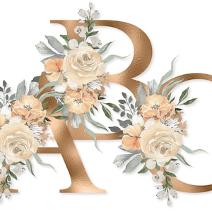 Conjunto de alfabeto floral bege download PNG, letras de monograma de champanhe com flores em aquarela para camisas de sublimação, canecas, copos, bolsas