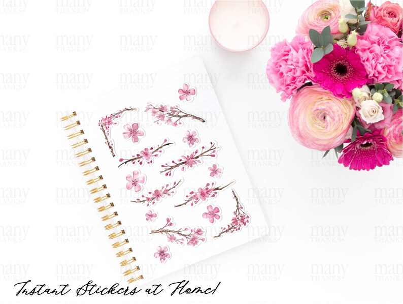 May include: A sheet of stickers with watercolor illustrations of pink cherry blossoms on branches. The stickers are on a white background and are arranged in a variety of sizes and positions. The text "Instant Stickers at Home!" is written in black at the bottom of the sheet.