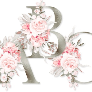 Conjunto de alfabeto floral prateado PNG download, letras de monograma cinza rosa branco aquarela flores para impressão sob demanda camisas, caneca, copos, bolsa