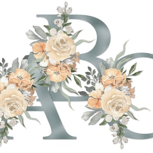 Juego de alfabeto floral beige PNG Download, letras de monograma azul polvoriento con flores de acuarela para camisas de sublimación, tazas, vasos, bolsas