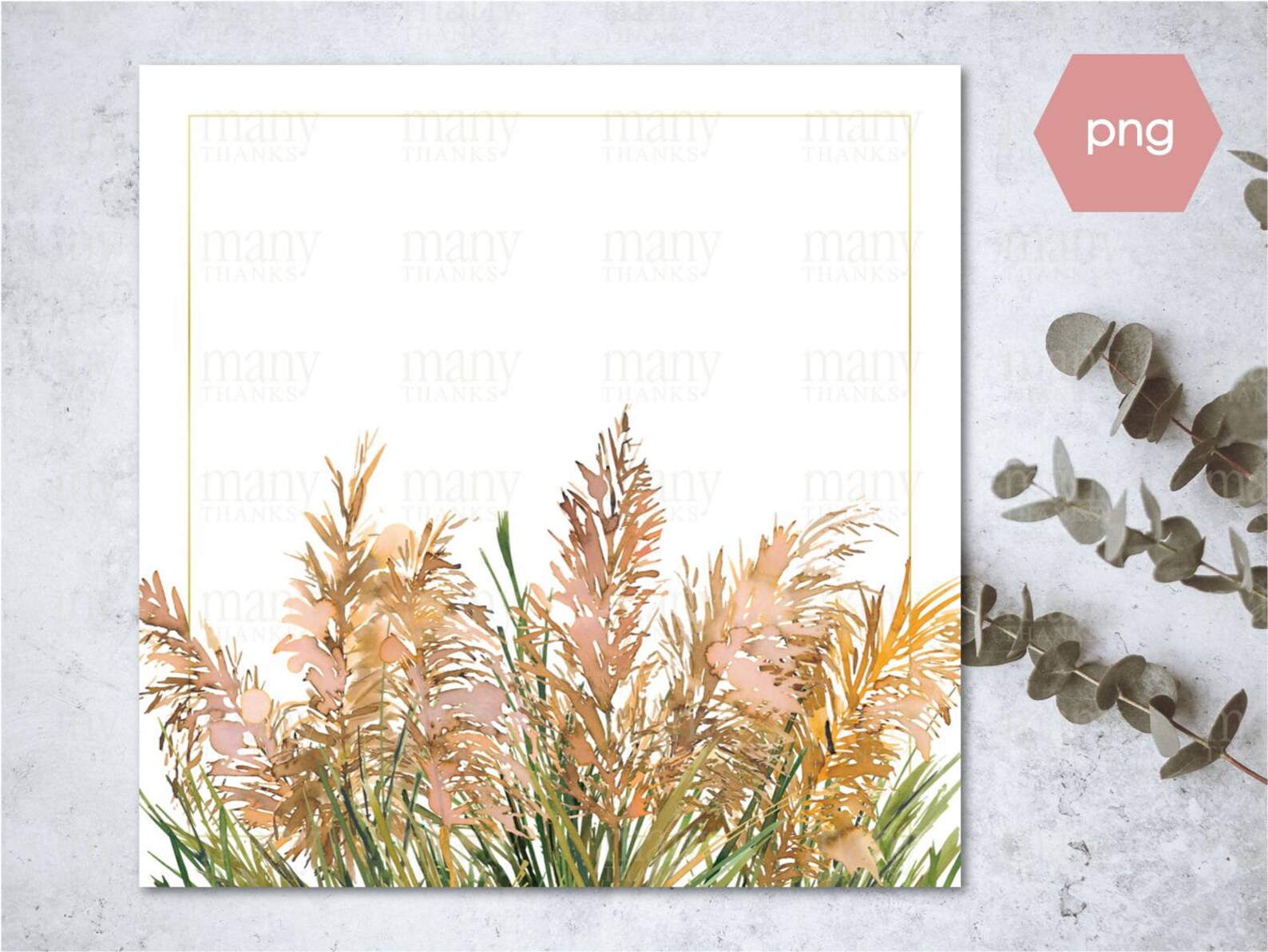 Pampas Grass Floral Border Circle Square Blank PNG Con / Etsy España