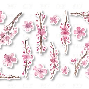 May include: A set of 12 pink watercolor cherry blossom stickers with white outlines. The stickers feature various arrangements of cherry blossoms on branches, including single blossoms and clusters of blossoms.