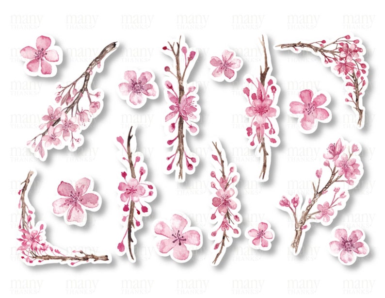 May include: A set of 12 pink watercolor cherry blossom stickers with white outlines. The stickers feature various arrangements of cherry blossoms on branches, including single blossoms and clusters of blossoms.