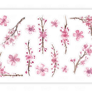 May include: A set of 12 pink watercolor cherry blossom stickers. The stickers feature various arrangements of cherry blossoms, including single flowers, branches with flowers, and full blossoms.