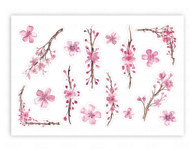 May include: A set of 12 pink watercolor cherry blossom stickers. The stickers feature various arrangements of cherry blossoms, including single flowers, branches with flowers, and full blossoms.