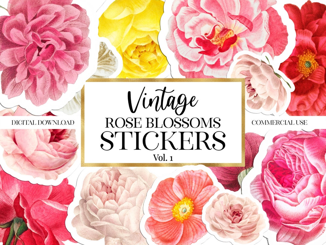 Vintage Roses Stickers Download PNG, Pink Small Business Happy Mail