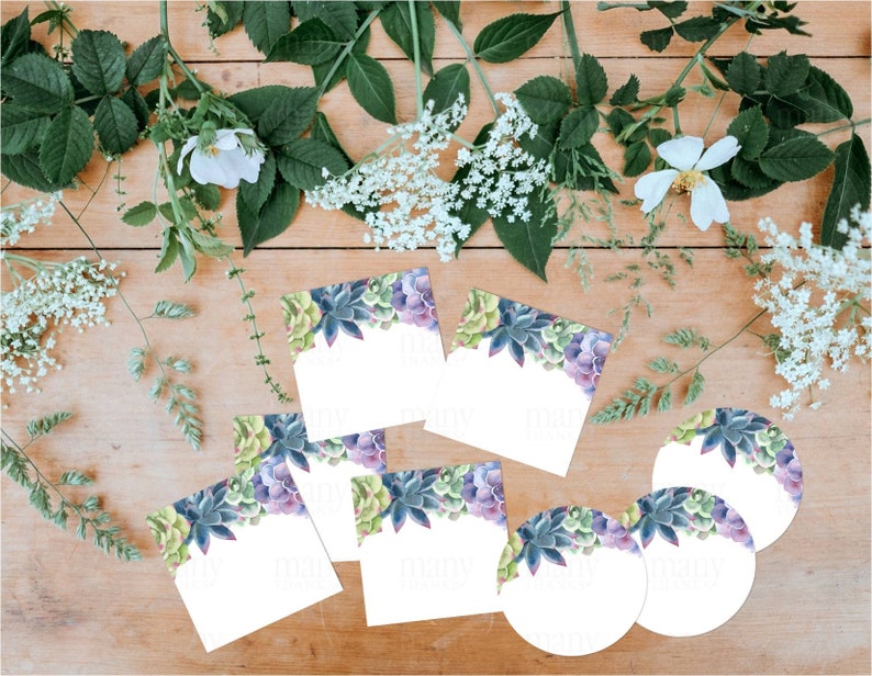 May include: Set of six blank cards and four blank round labels with a watercolor succulent design. The cards and labels are perfect for adding your own text or images.