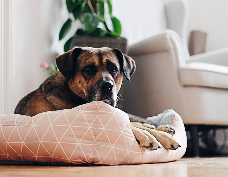 Dog Bed Sewing Pattern PDF | S–XL | Washable Pet Cushion Tutorial | Cat Bed | Kennel Mattress Sewing DIY | Printable Pet Pillow image 11