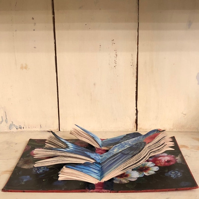 May include: A pop-up book with a floral design on the cover. The book is open to reveal a 3D image of two blue birds with their wings spread.