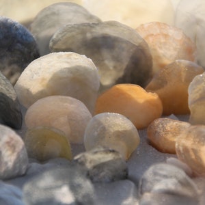 Beach Photo / Shell Photo / Seashells on Beach Photo Series