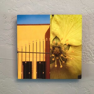 May include: A close-up of a yellow flower with a brown center. The flower is partially obscured by a yellow wall with a black metal gate.