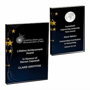 May include: Two rectangular black awards with gold stars and text. One reads "Lifetime Achievement Award" and the other "Engineering Leadership Team Award." Both have white text and a gradient blue background.