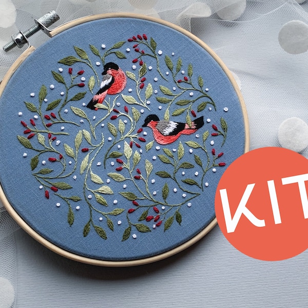 Kit de broderie oiseaux, kit de broderie débutant, art mural printanier