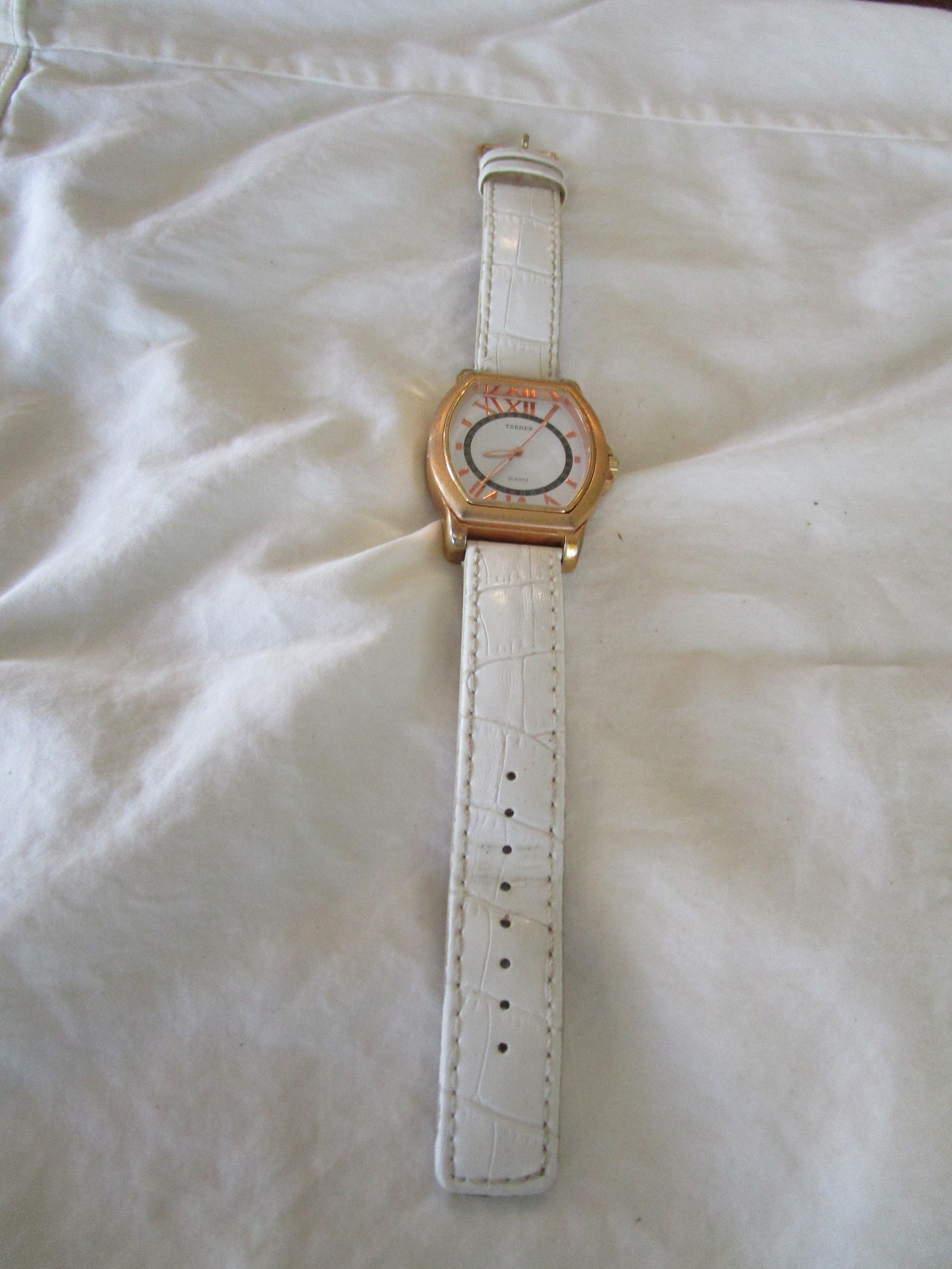Montre Femme Charles Delon Acier Inoxydable Argent Or WR Pile Noire