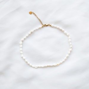 Collier ras de cou SHELL // Choker en coquillages naturels blancs image 2