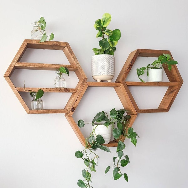 Wood Hexagon Shelves (Set of 3): Rustic Geometric Plant Display